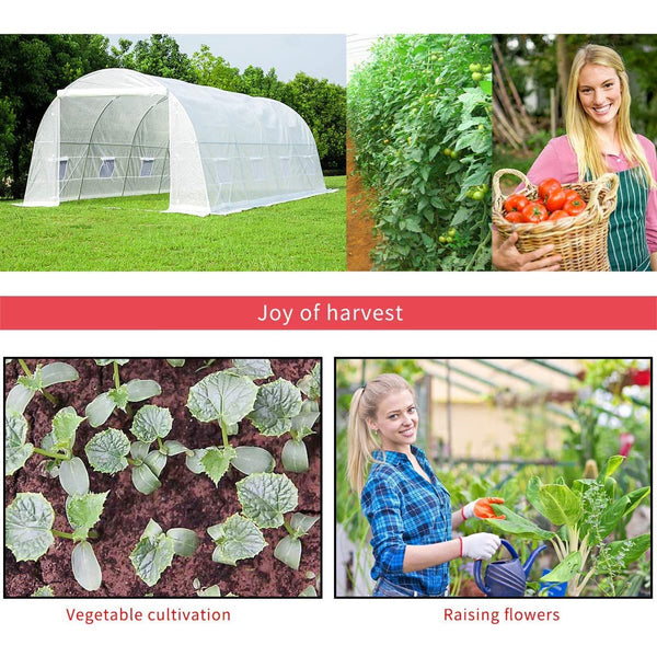 Yoleny 20' x 10' x 7' Greenhouse Large Gardening Plant Hot House Portable Walking in Tunnel Tent