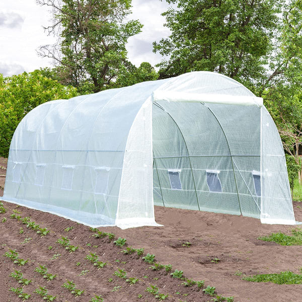 Yoleny 20' x 10' x 7' Greenhouse Large Gardening Plant Hot House Portable Walking in Tunnel Tent